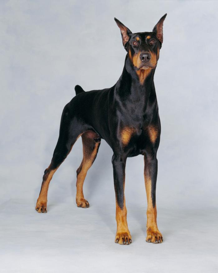 La explicación a una de las imágenes más comentadas de Telecinco este fin de semana