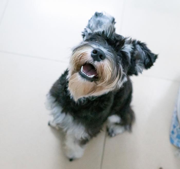 La explicación a una de las imágenes más comentadas de Telecinco este fin de semana