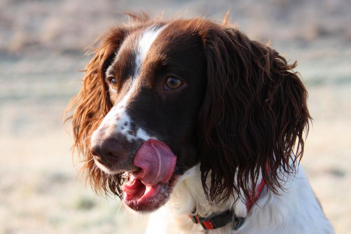 La explicación a una de las imágenes más comentadas de Telecinco este fin de semana