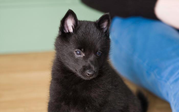 La explicación a una de las imágenes más comentadas de Telecinco este fin de semana