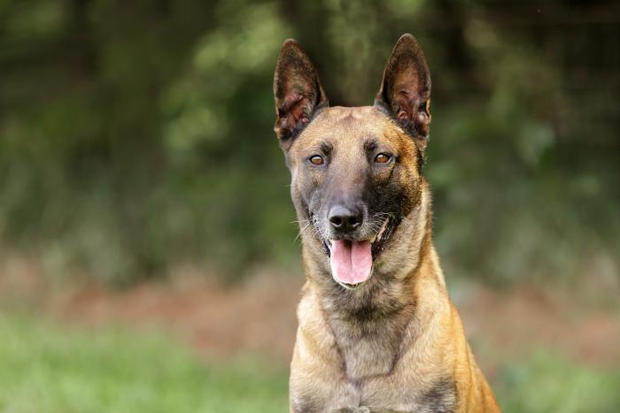 La explicación a una de las imágenes más comentadas de Telecinco este fin de semana