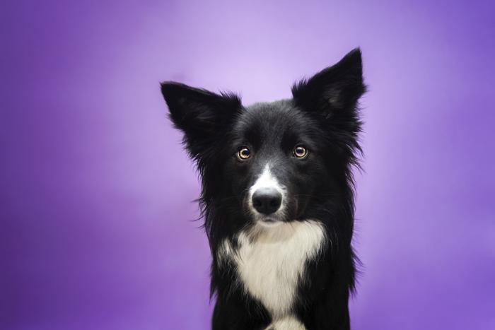 La explicación a una de las imágenes más comentadas de Telecinco este fin de semana