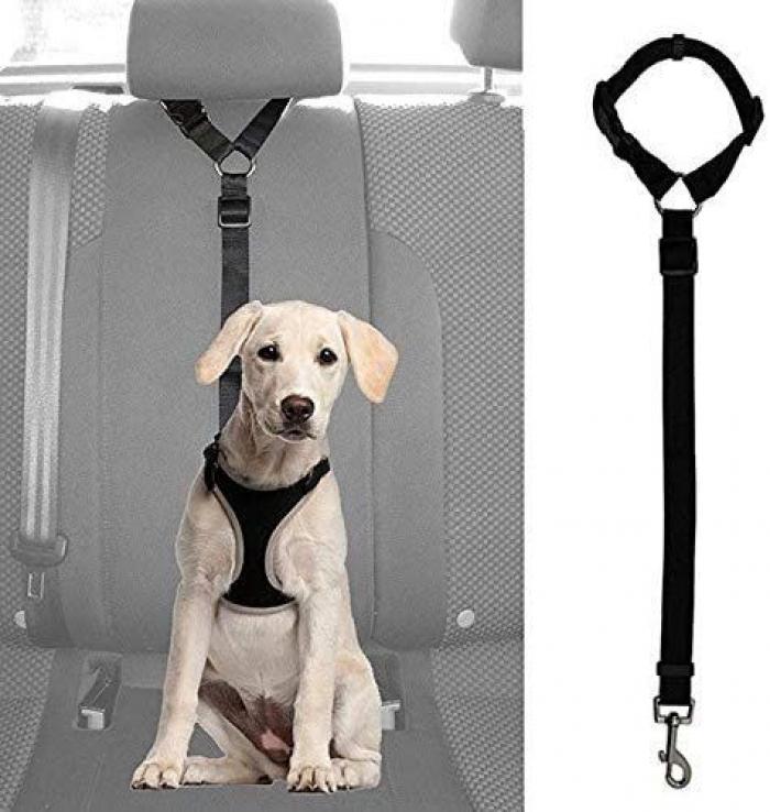 La solución definitiva para proteger a tu perro del calor cuesta 25 euros