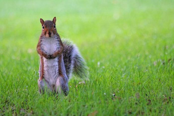 Londres reta a París: ¿Cuál es la ciudad preferida de los viajeros? (FOTOS)