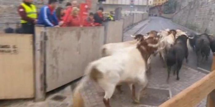 El séptimo encierro deja un susto y al menos un herido por asta de toro