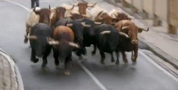 El séptimo encierro deja un susto y al menos un herido por asta de toro