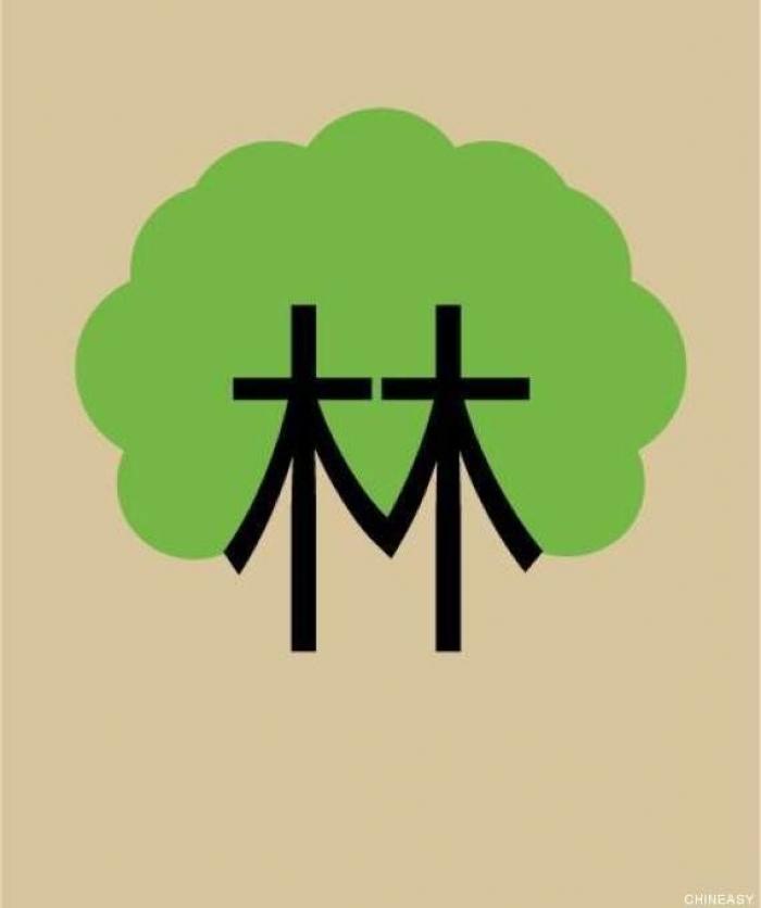 Así es el mejor diseño del año (FOTOS)