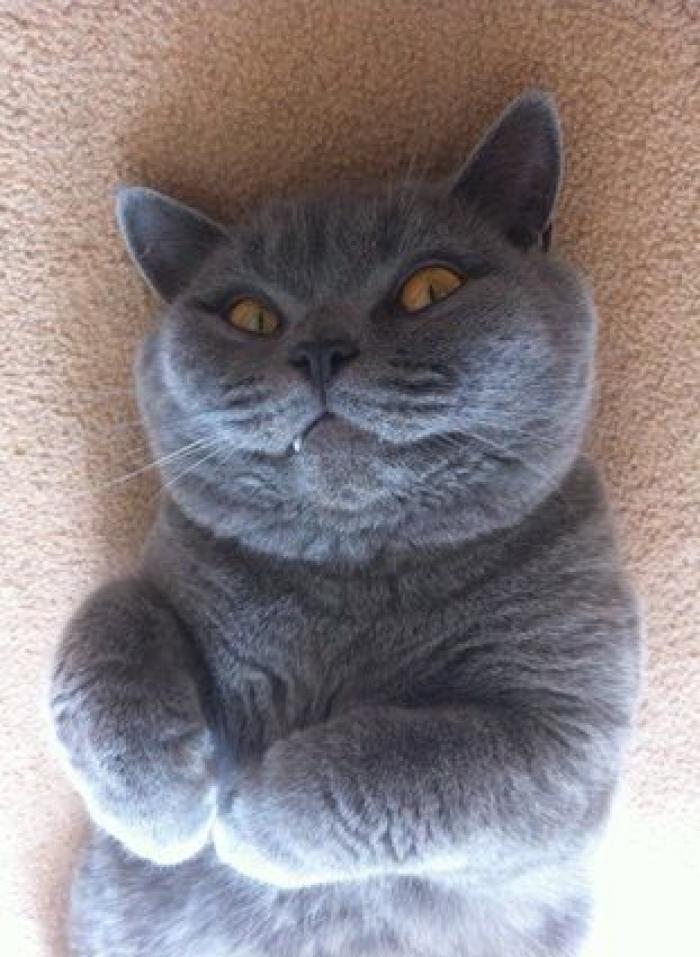 Instala una cámara oculta en su habitación para descubrir por qué respira mal por la noche y se lleva una curiosa sorpresa