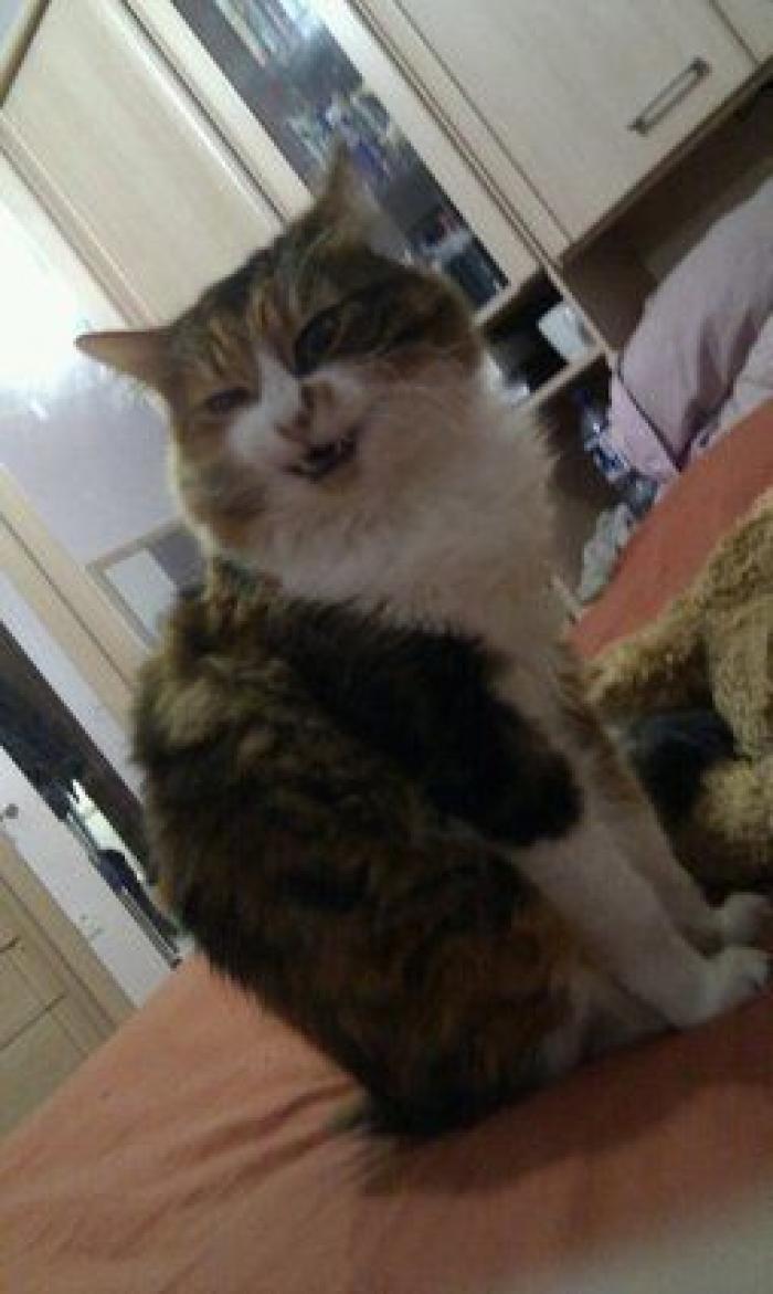 Instala una cámara oculta en su habitación para descubrir por qué respira mal por la noche y se lleva una curiosa sorpresa