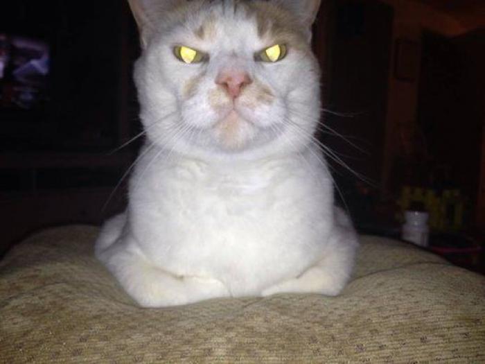 Instala una cámara oculta en su habitación para descubrir por qué respira mal por la noche y se lleva una curiosa sorpresa