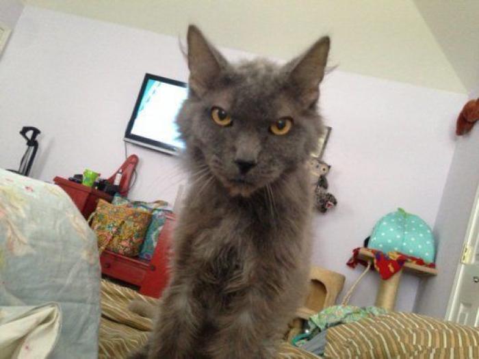 Instala una cámara oculta en su habitación para descubrir por qué respira mal por la noche y se lleva una curiosa sorpresa