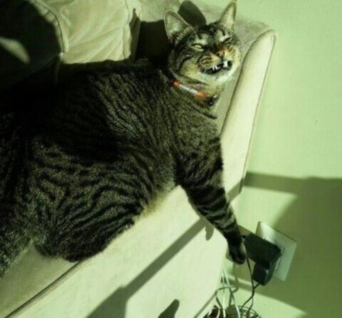 Instala una cámara oculta en su habitación para descubrir por qué respira mal por la noche y se lleva una curiosa sorpresa