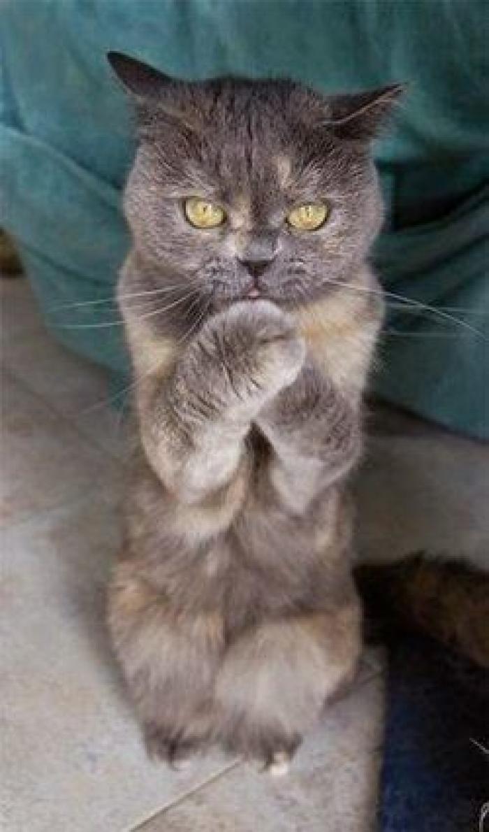 Instala una cámara oculta en su habitación para descubrir por qué respira mal por la noche y se lleva una curiosa sorpresa