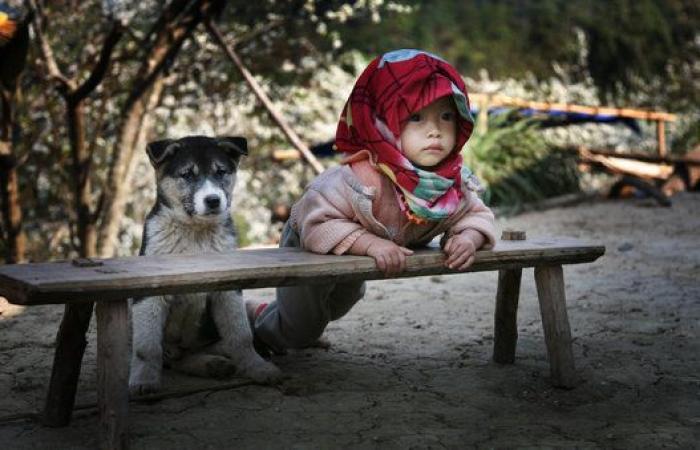 32 de las mejores fotos del Concurso Mundial de Fotografía de Sony 2015 (por ahora)