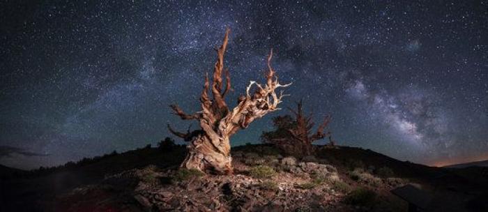 32 de las mejores fotos del Concurso Mundial de Fotografía de Sony 2015 (por ahora)