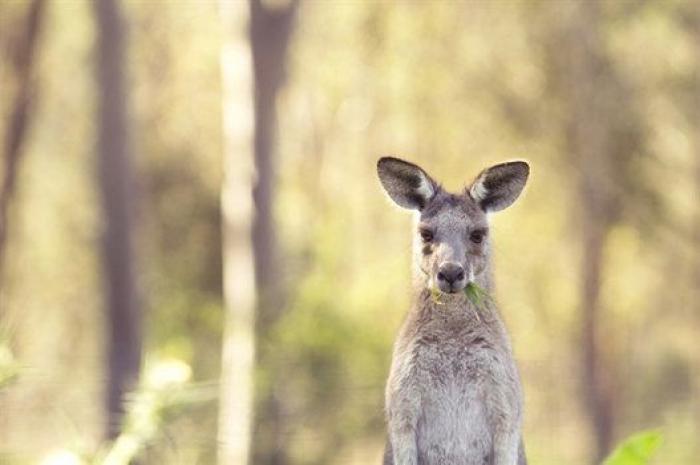 32 de las mejores fotos del Concurso Mundial de Fotografía de Sony 2015 (por ahora)
