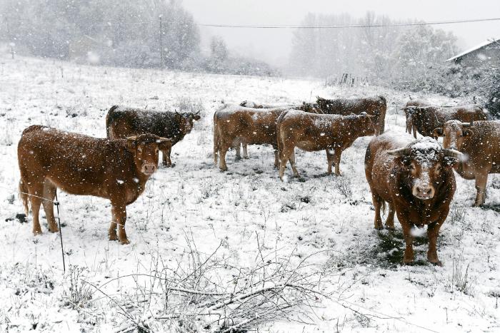 España se tiñe de blanco... en otoño: las imágenes más espectaculares del temporal