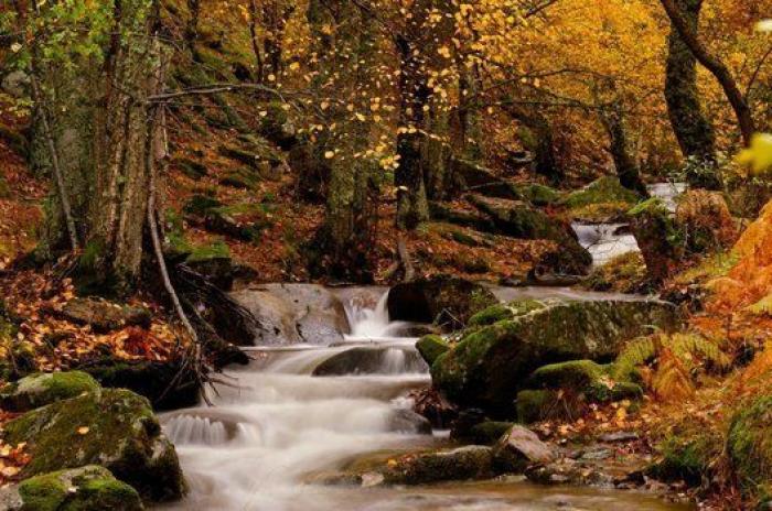 10 paisajes para disfrutar del otoño sin salir de España (FOTOS)