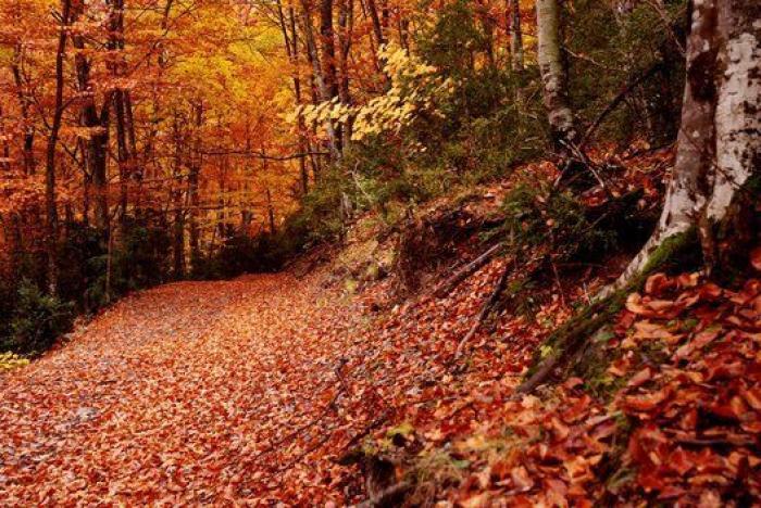 10 paisajes para disfrutar del otoño sin salir de España (FOTOS)