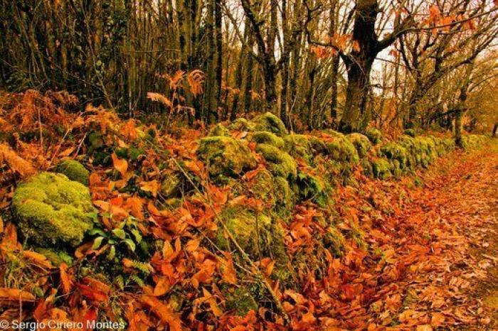 10 paisajes para disfrutar del otoño sin salir de España (FOTOS)