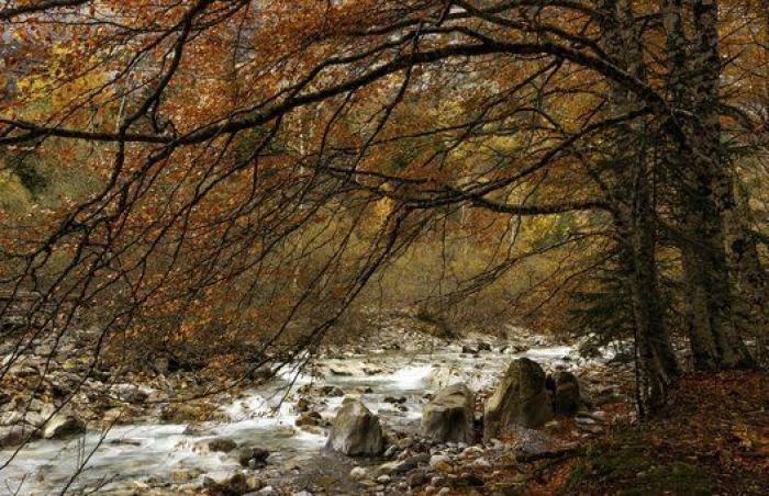 10 paisajes para disfrutar del otoño sin salir de España (FOTOS)