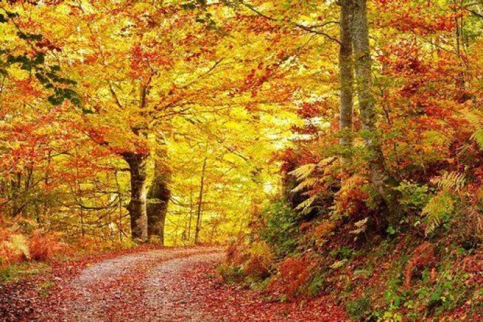 10 paisajes para disfrutar del otoño sin salir de España (FOTOS)