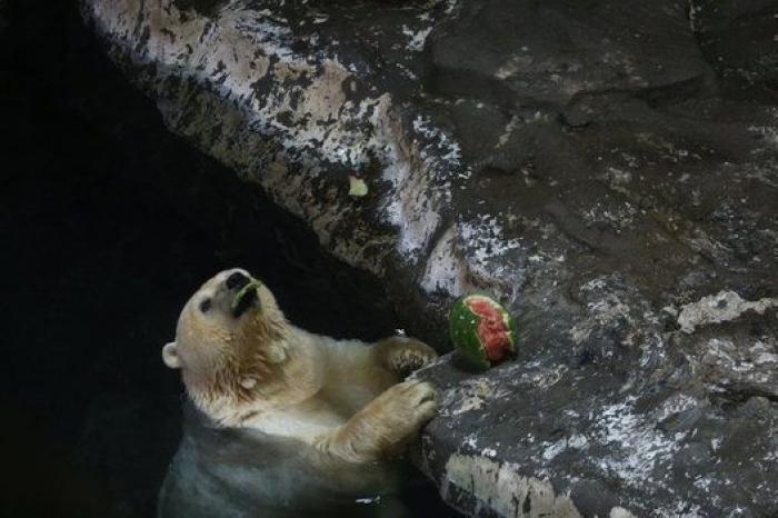 La celebración de Yadnya Kasada y otras fotos de este jueves