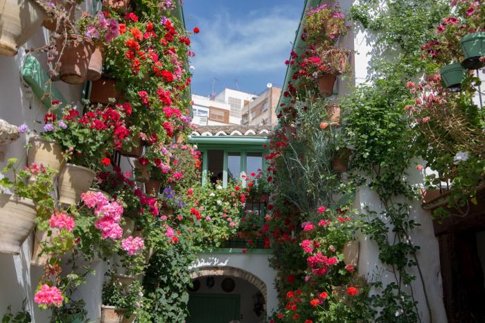 ▷ Qué ver en Córdoba: Los 10 lugares más hermosos
