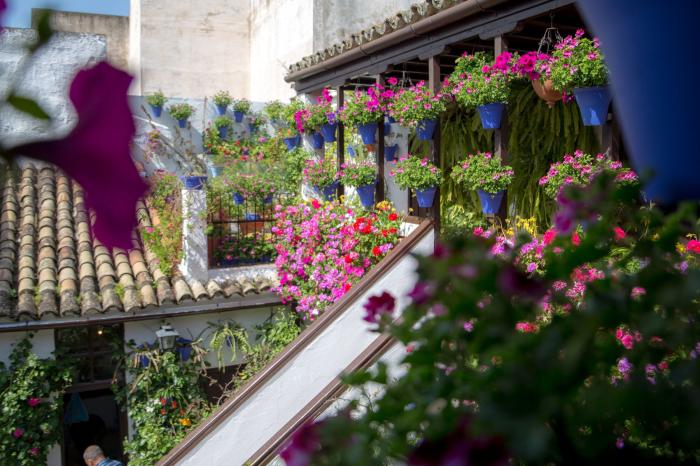 ▷ Qué ver en Córdoba: Los 10 lugares más hermosos