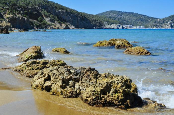 La euforia vuelve a Ibiza tras dos años sin discotecas