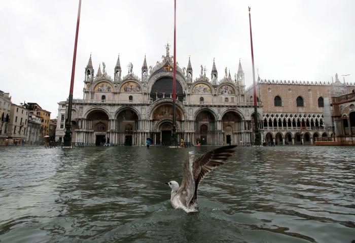 Así ha quedado el patrimonio de Venecia tras las inundaciones