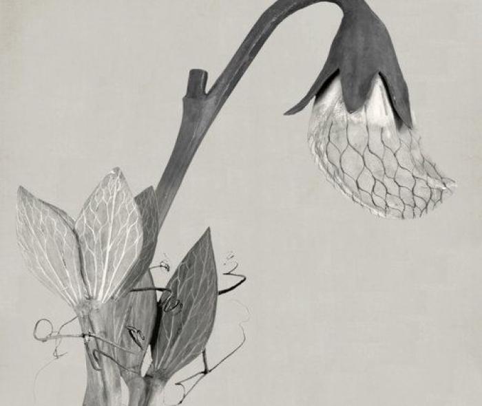 PHotoEspaña 2016: 15 exposiciones imprescindibles según la directora del festival (FOTOS)