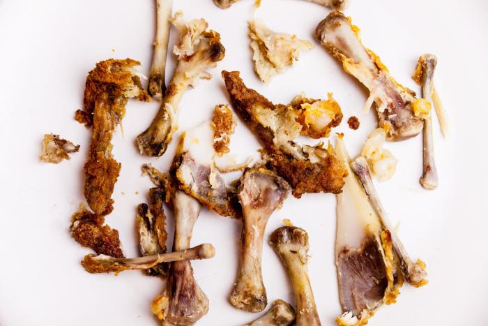 ¡Adopta un gato callejero!