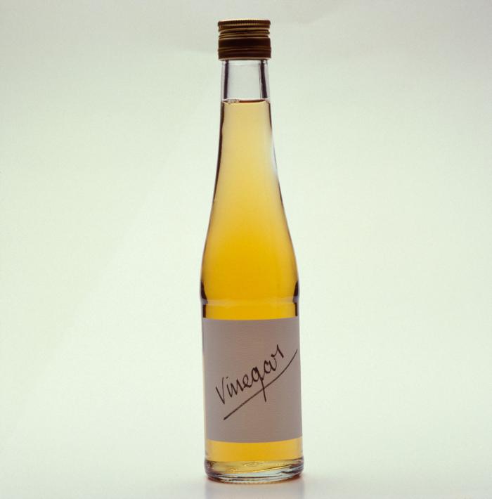 ¡Adopta un gato callejero!