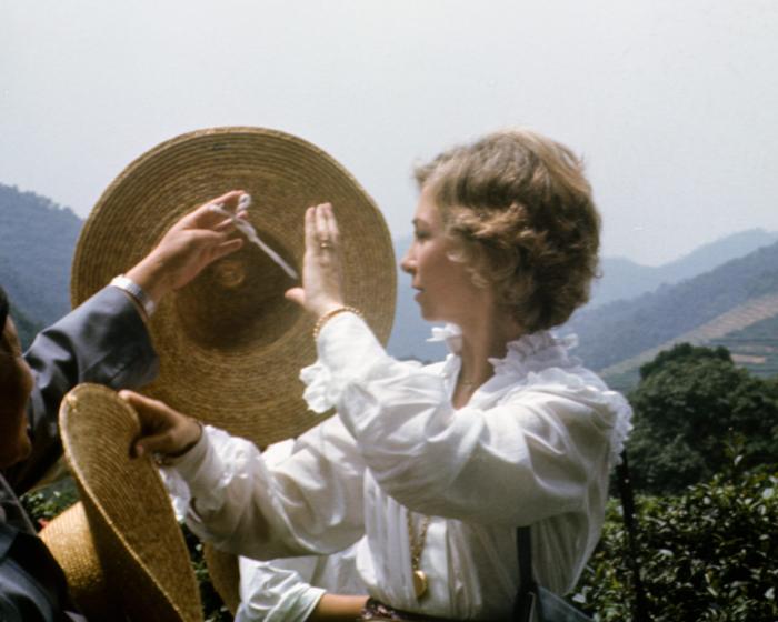 La segunda ola de la casa real