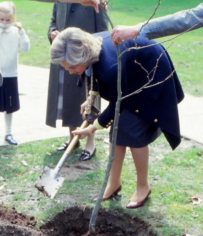 La segunda ola de la casa real