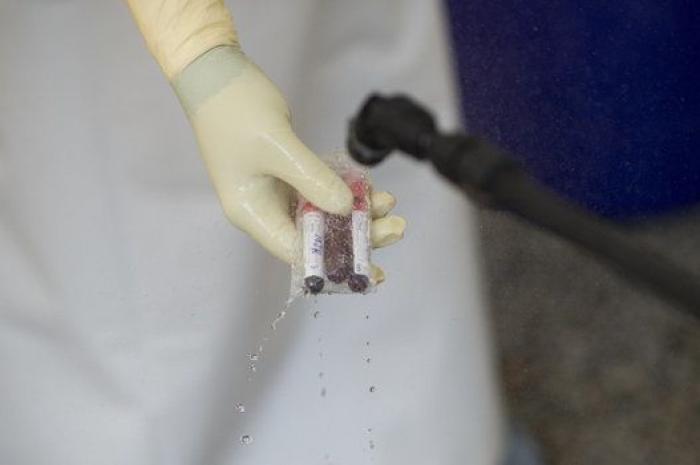 La cooperante de Médicos sin Fronteras en riesgo de ébola termina la cuarentena sin síntomas