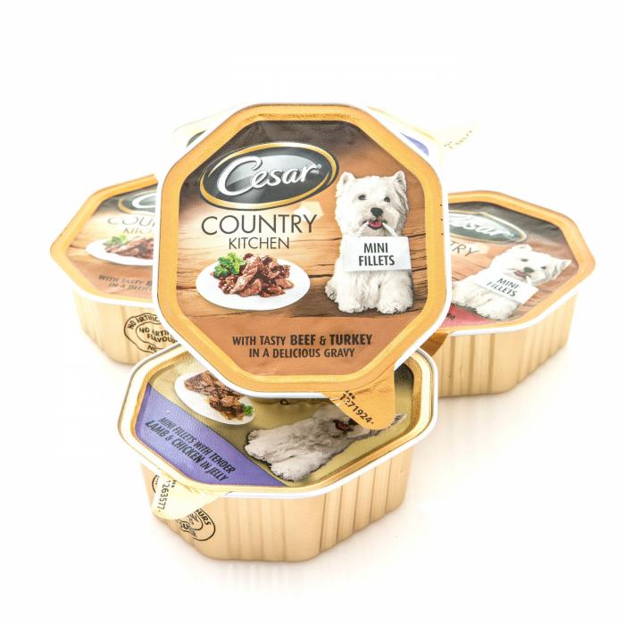 ¡Adopta un gato callejero!