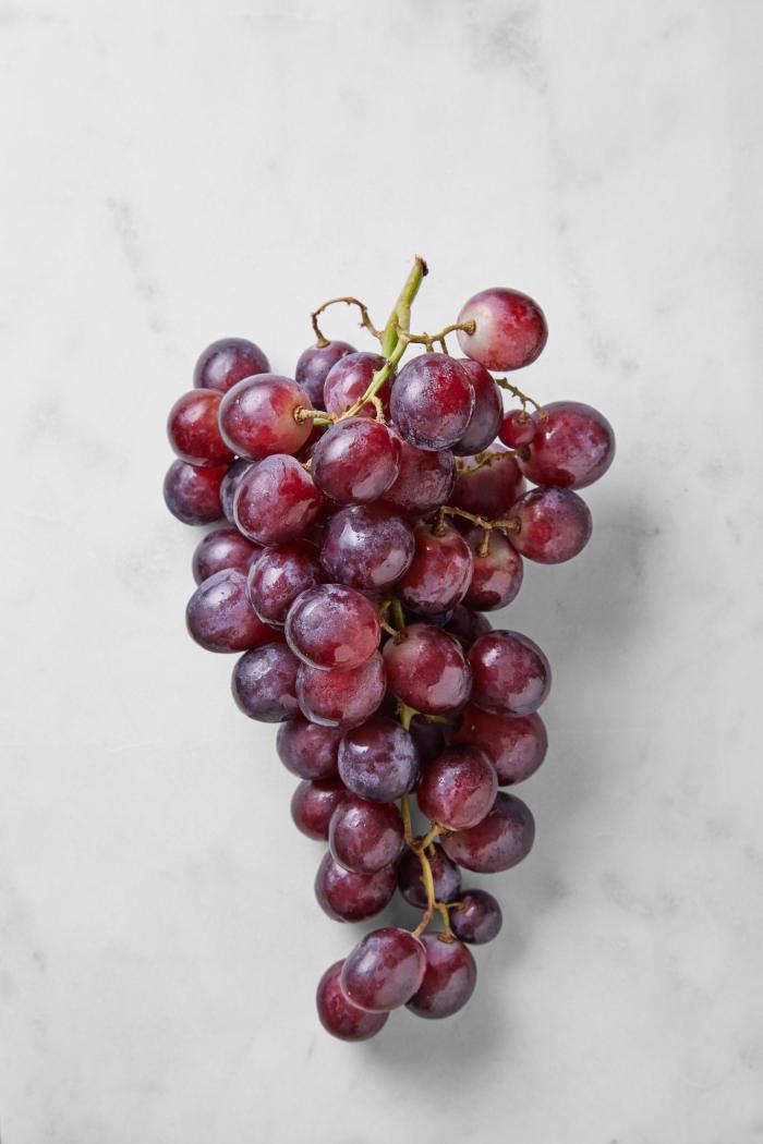 ¡Adopta un gato callejero!