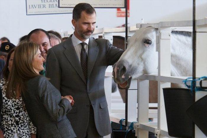 Feria de Zafra: los reyes Felipe y Letizia hacen su primera visita oficial a Extremadura entre ganado