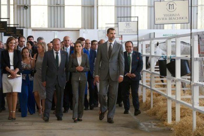 Feria de Zafra: los reyes Felipe y Letizia hacen su primera visita oficial a Extremadura entre ganado
