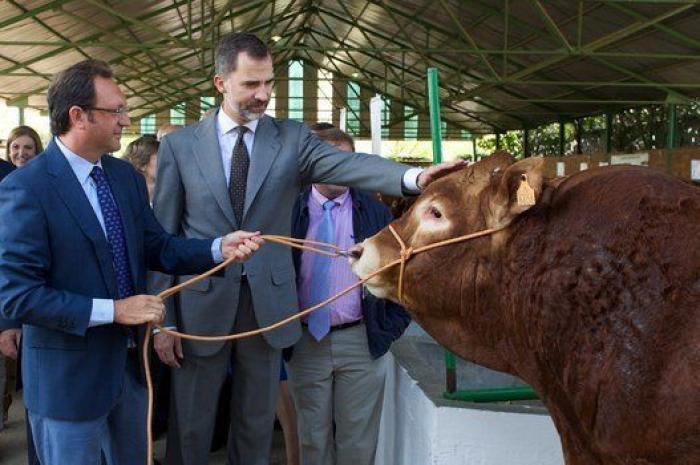Feria de Zafra: los reyes Felipe y Letizia hacen su primera visita oficial a Extremadura entre ganado