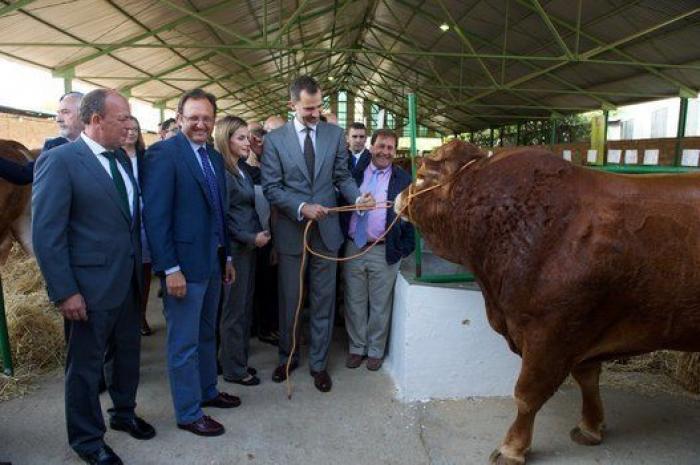 Feria de Zafra: los reyes Felipe y Letizia hacen su primera visita oficial a Extremadura entre ganado