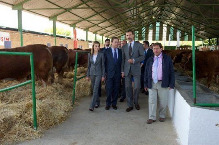 Feria de Zafra: los reyes Felipe y Letizia hacen su primera visita oficial a Extremadura entre ganado