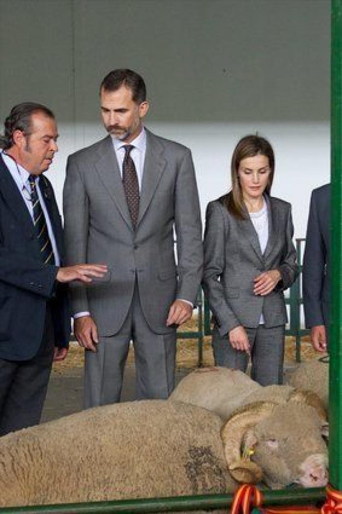 Feria de Zafra: los reyes Felipe y Letizia hacen su primera visita oficial a Extremadura entre ganado