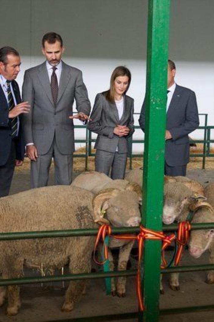 Feria de Zafra: los reyes Felipe y Letizia hacen su primera visita oficial a Extremadura entre ganado