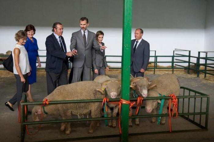 Feria de Zafra: los reyes Felipe y Letizia hacen su primera visita oficial a Extremadura entre ganado