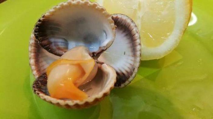 29 recetas gallegas para celebrar en la mesa el Día de Santiago