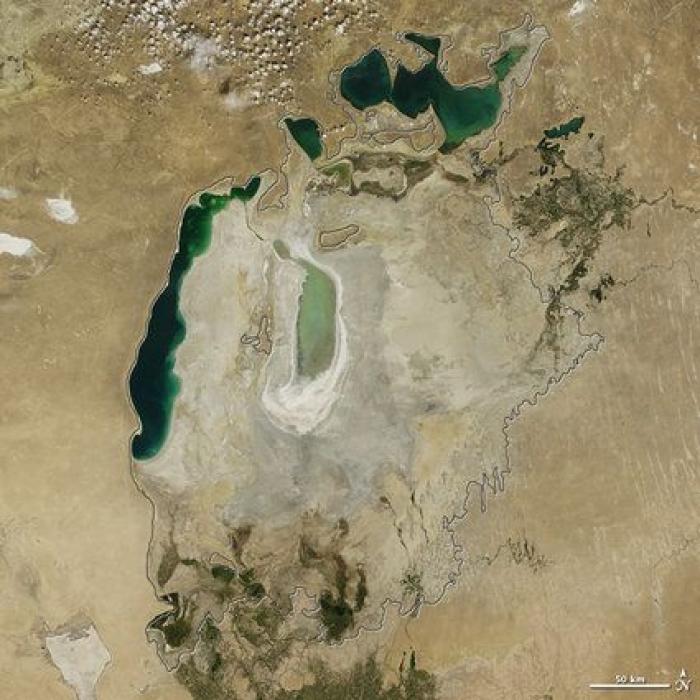 80.000 renos han muerto de hambre en Siberia por el cambio climático