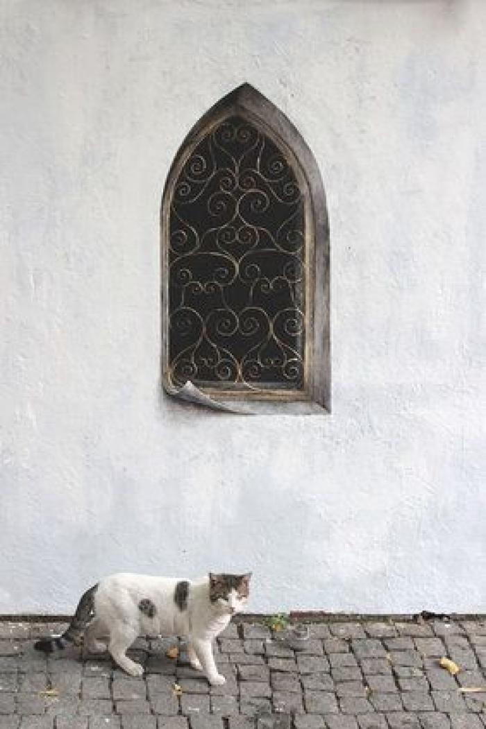 Ruta por los tres trampantojos del artista urbano español Pejac en Estambul (FOTOS)